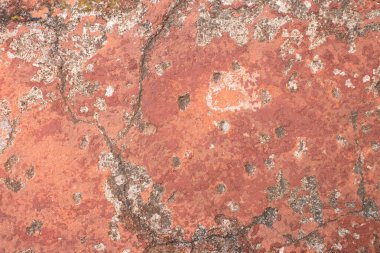 Boyanın kabuğu soyulmuş eskimiş beton bir doku. 