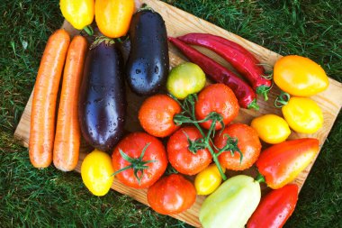 Çiftlik sebzelerinde yetişen organik ürünler. Tahtada olgun patlıcan, biber, havuç ve domates