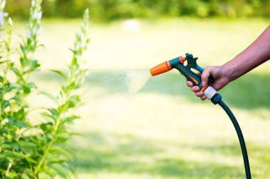 Çiçekleri hortumla sulayan bir kadın. Silah hortumu hortum başlığı