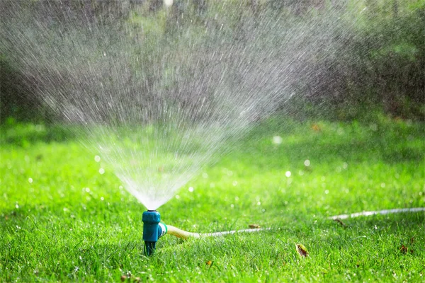 Aspersor Grama Pulverizando Água Sobre Grama Jardim Dia Quente Verão — Fotografia de Stock