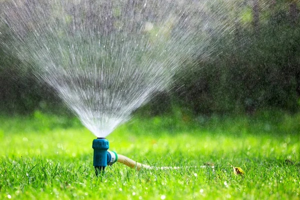 Aspersor Grama Pulverizando Água Sobre Grama Jardim Dia Quente Verão — Fotografia de Stock