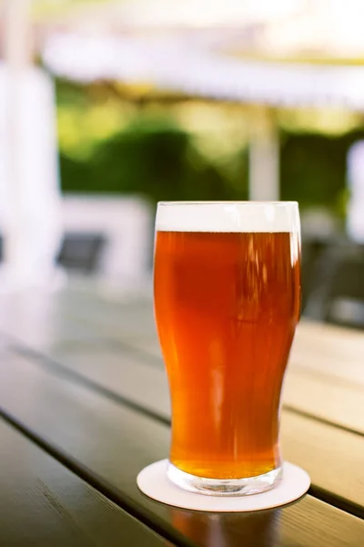 Ett Glas Färskt Hantverksöl American Pale Ale Hoppy Beer — Stockfoto