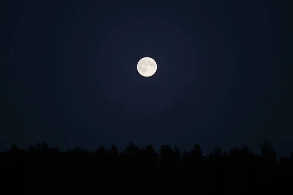 Luna Llena Sobre Bosque Cielo Oscuro Noche — Foto de Stock