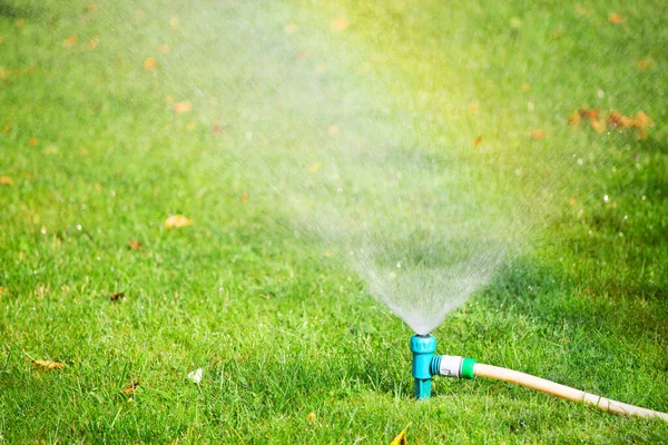 Gräsmatta Sprinkler Sprutvatten Över Grönt Gräs Bevattningssystem Gård — Stockfoto