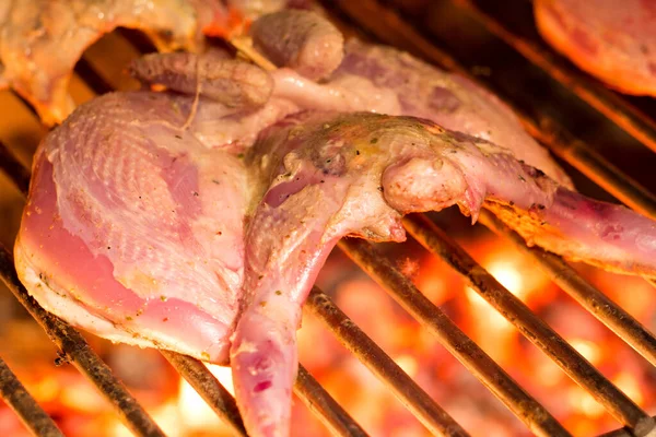 Roasted partridge on a grill. Cooking fowl. Shallow depth of field — Stock Image Roasted Partridge Grill Cooking Fowl Shallow Depth Field Stock Image