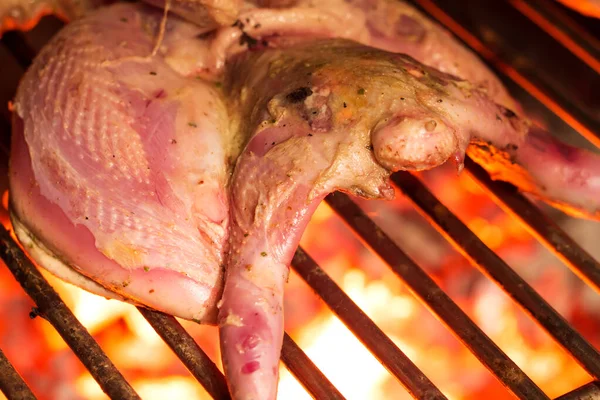 Roasted grouse partridge quail on grill. Shallow depth of field — Stock Image Roasted Grouse Partridge Quail Grill Shallow Depth Field Stock Photo