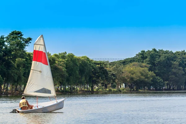 The man driving a boat on the lake with a blue sky background and green tree.