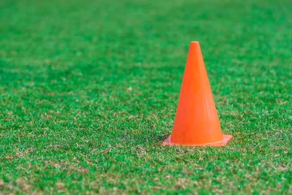 Kopya alanı ile yeşil çim futbol sahası üzerinde turuncu koni duran.