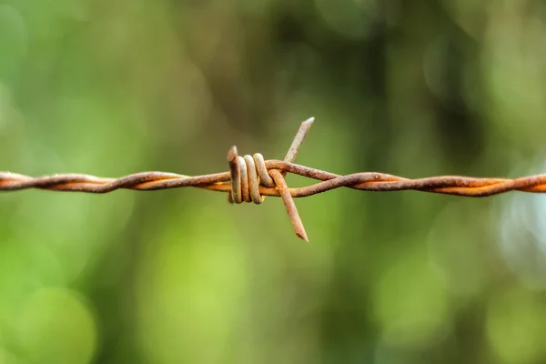 Close-up view of rusty barbed wire on green bokeh background. — Stock Photo, Image