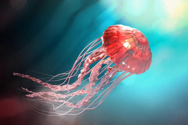 3d representación de medusas rosadas flotando en el océano azul oscuro b — Foto de Stock
