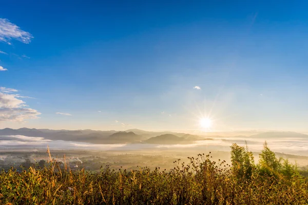 Sabah sıcak güneşin