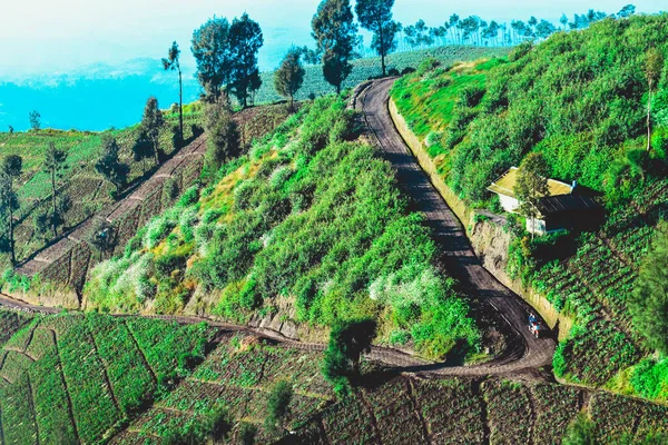 Natural Scenery Argosari Village Slopes Mount Semeru Lumajang Eas Java — Stock Photo, Image