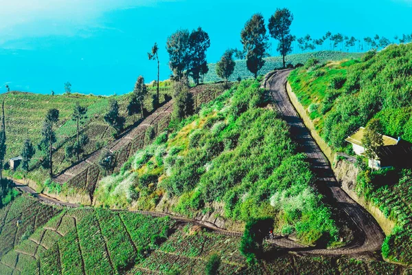 Natural Scenery Argosari Village Slopes Mount Semeru Lumajang Eas Java — Stock Photo, Image