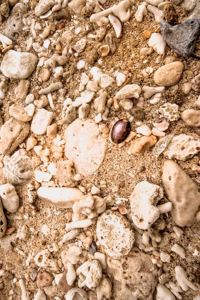 Strand Kieselsteine Bunte Kleine Hintergrund Meer Sand — Stockfoto