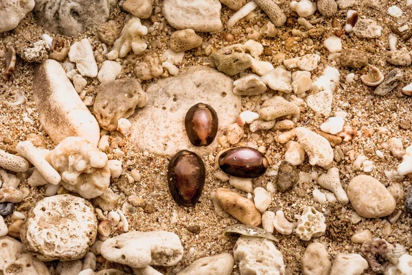 Strand Kavicsos Színes Kis Háttér Sea Sand — Stock Fotó