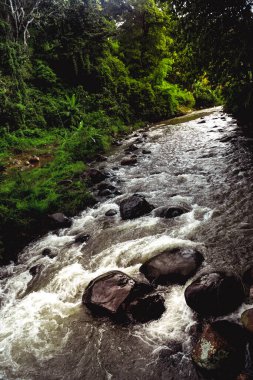 Dungus Village, Madiun, Endonezya 'da hızlı akıntıları olan bir ormanda bir nehir.