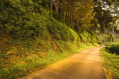 Ponorogo, Endonezya 'da Ngebel Gölü kıyısında uzun, sessiz bir yol. 