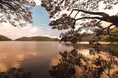 Ponorogo, Doğu Java, Endonezya 'daki Ngebel Gölü' nün sakin ve gizemli güzelliği.
