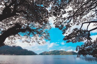 Ponorogo, Doğu Java, Endonezya 'daki Ngebel Gölü' nün sakin ve gizemli güzelliği.