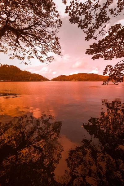 Спокойствие Таинственная Красота Озера Нгебель Понорого Восточная Ява Индонезия Стоковая Картинка