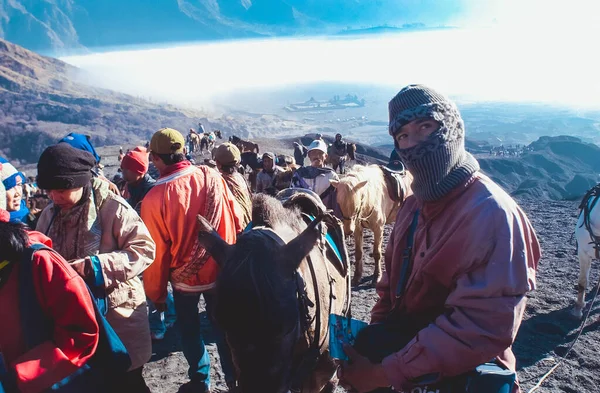 Surabaya, Endonezya - 13 Temmuz 2004: At, Savana, Bromo Dağı, Doğu Java, Endonezya 'yı ziyaret eden turistler için ana ulaşım aracı