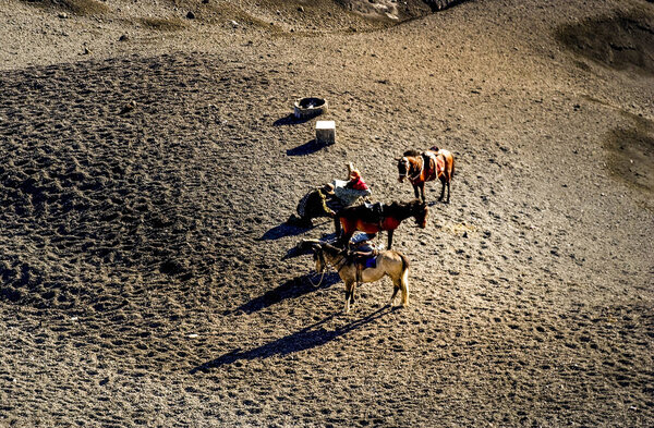 Surabaya, Indonesia - July 13, 2004: Horse is the main transportation for tourists visiting Savana, Mount Bromo, East Java, Indonesia