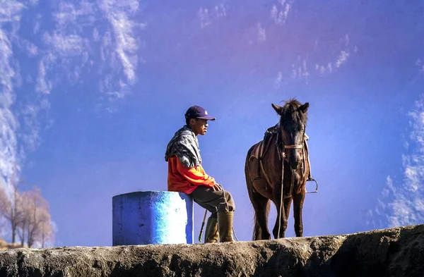 Surabaya Indonesien Juli 2004 Pferd Ist Das Wichtigste Transportmittel Für — Stockfoto