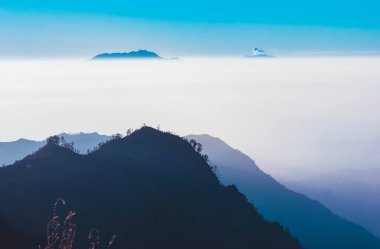 Doğu Java, Endonezya 'daki Bromo Dağı etrafındaki doğanın güzelliği