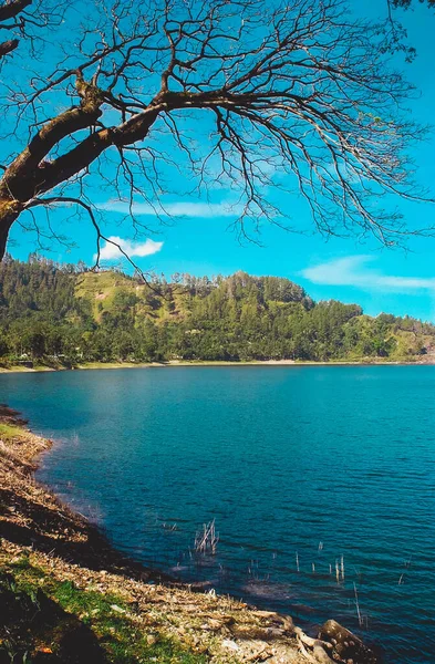 Beleza Lago Ngebel Naturalmente Ponorogo Java Oriental Indonésia — Fotografia de Stock