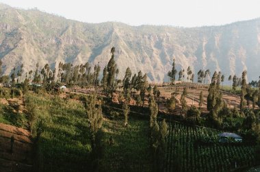 Bromo Dağı, Doğu Java, Endonezya çevresindeki güzel doğal manzara