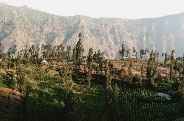 Gyönyörű Természeti Táj Körül Mount Bromo Kelet Jáva Indonézia — Stock Fotó