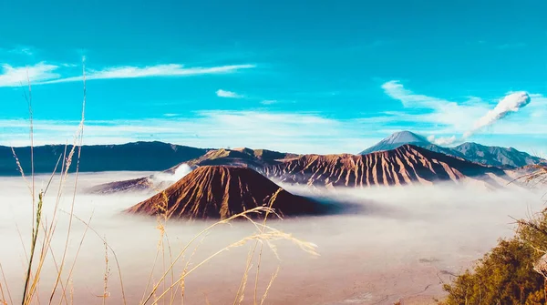 Bromo Dağı aktif bir volkandır ve Endonezya 'nın Doğu Java kentinin en çok ziyaret edilen turistik yerlerinden biridir. Panorama Bromo