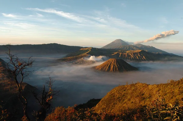 Mount Bromo is an active volcano and one of the most visited tourist attractions in East Java, Indonesia. Panorama Bromo
