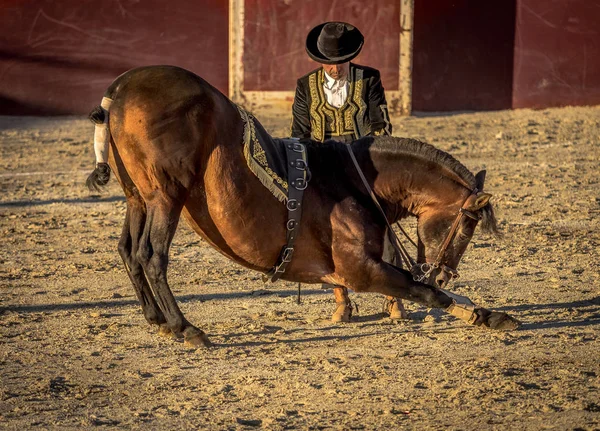 Tradicional espanhol equitação — Fotografia de Stock
