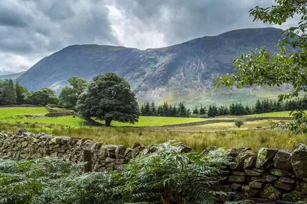 Vista da área em torno de Crummock Water, Lake District Reino Unido — Fotografia de Stock