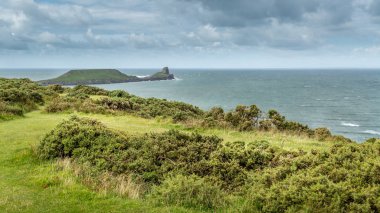 Solucanlar kafa, Rhossili, Güney Galler, İngiltere.