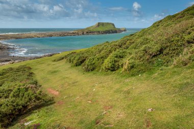 Solucanlar kafa, Rhossili, Güney Galler, İngiltere.