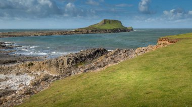 Solucanlar kafa, Rhossili, Güney Galler, İngiltere.