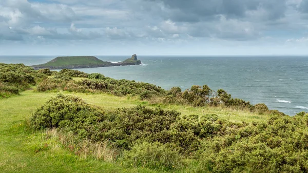 Solucanlar kafa, Rhossili, Güney Galler, İngiltere.
