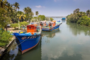 Periyar Nehri 'nde balıkçı tekneleri, Munambam, Kerala, Hindistan
