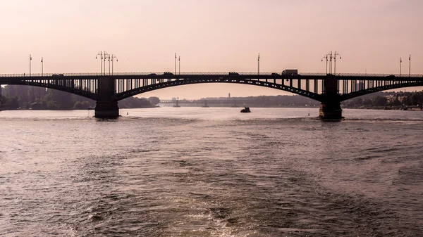 Bridge on the Rhine river, in Mainz, Germany, at sunrise — Stock Photo, Image