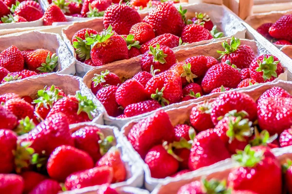 Some strawberry boxes — Stock Photo, Image