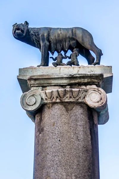 Lobo Capitolino Estatua Loba Amamantando Rómulo Fundador Roma Remo Icono —  Fotos de Stock