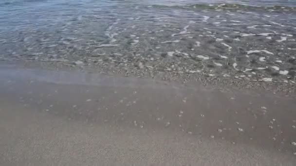 바다와 해변에서 겨울의 — 비디오