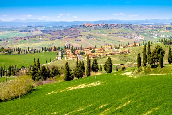 Zöld vidék, a tartományban, Siena, Toscana, Olaszország — Stock Fotó