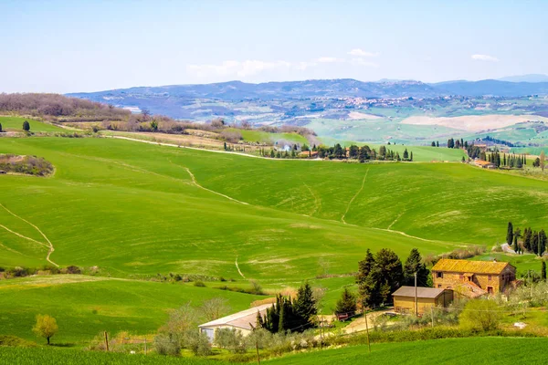 Zelená krajina v Provincii Siena, Toskánsko, Itálie — Stock fotografie