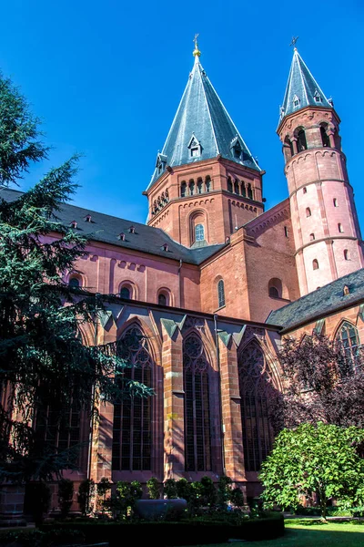 마인츠, 독일에서 성 마틴의 대성당의 회랑 — 스톡 사진