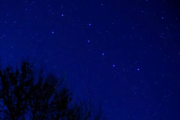 春の夜空に北斗七星. — ストック写真