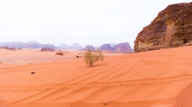 Ürdün 'de WADI RUM Çölü