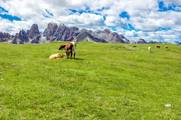 프라 토 광장, 남쪽 티롤에서 Dolomites에 유명한 고원 — 스톡 사진